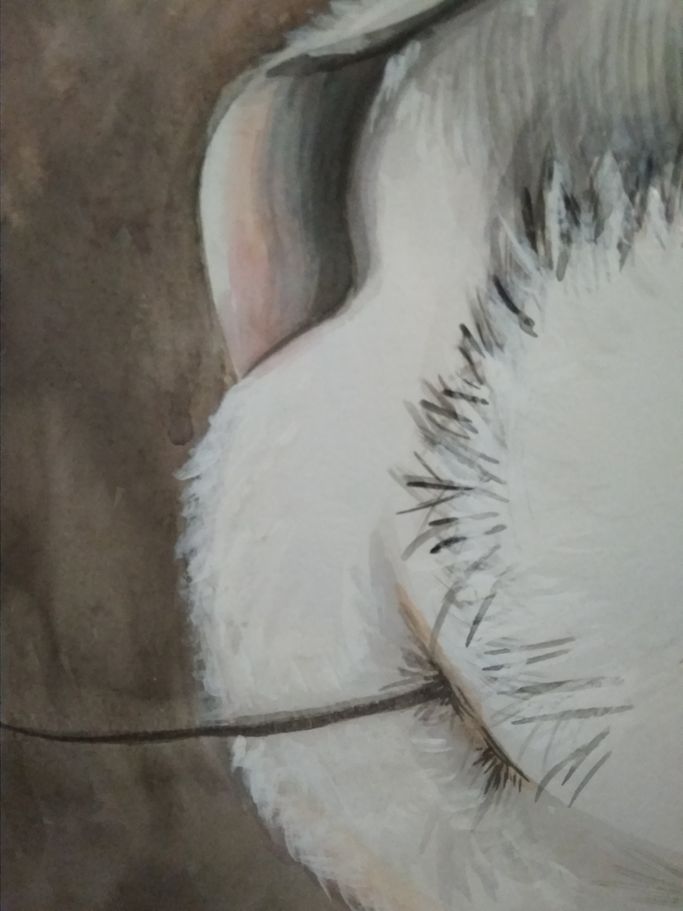 Kätzchen. Aquarell und Acrilyc. Weiße flauschige Kätzchen. | Etsy