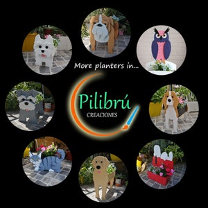 May include: A collection of decorative planters shaped like various animals, including a dog, cat, owl, and bulldog. The planters are filled with colorful flowers and plants. The image also includes the text "More planters in..." and the brand name "Pilibr&uacute; CREACIONES".