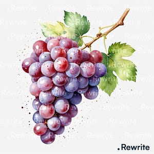 12 Grapes Clipart | Printable Fruit Watercolor Clipart | High Quality JPG & PNG - Digital Download for Junk Journals, Scrapbooking, Craft
