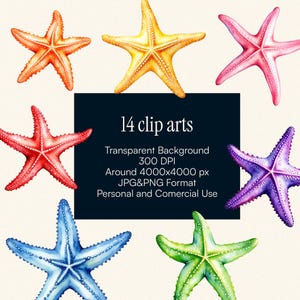 14 Starfish Clipart | Printable Watercolor Clipart | High Quality PNG and JPG, Digital Download for Junk Journals, Scrapbooking, Paper Craft