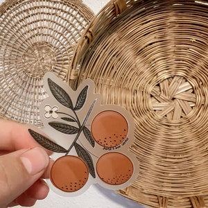 Orange Blossom Sticker • Clementine Sticker • Orange Tree Sticker • Clear Backing Sticker • Water bottle Sticker