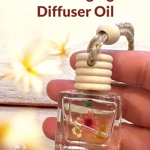 Difusor de aceite colgante de vainilla para coche / Amantes de los difusores de coche