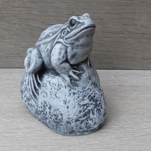 Pu&ograve; includere: Una statuetta di rana color grigio pietra appollaiata su una roccia ruvida. La scultura presenta dettagliati segni sulla pelle, occhi prominenti e una postura seduta realistica, rifinita con un aspetto screziato e usurato.