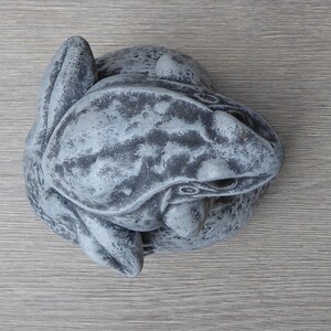 Pu&ograve; includere: Una statuetta di rana maculata grigia e bianca vista dall'alto. La scultura presenta una superficie ruvida con macchie grigio scuro su una base grigio chiaro, che cattura la postura naturale di una rana con le zampe ripiegate.