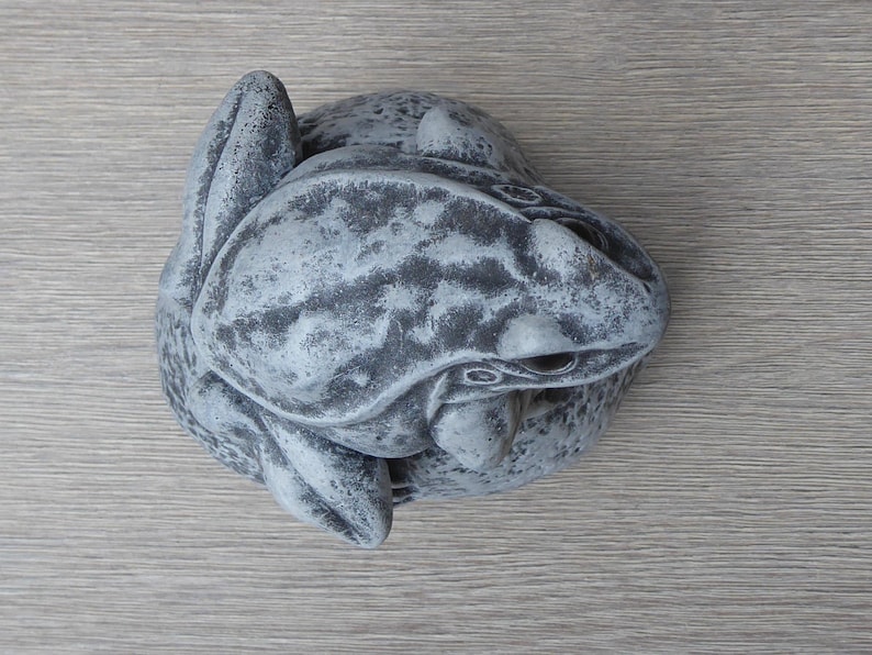 Pu&ograve; includere: Una statuetta di rana maculata grigia e bianca vista dall'alto. La scultura presenta una superficie ruvida con macchie grigio scuro su una base grigio chiaro, che cattura la postura naturale di una rana con le zampe ripiegate.