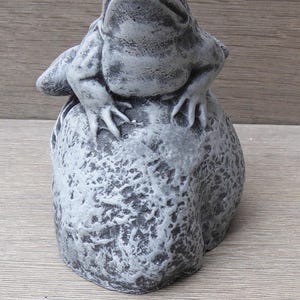 Pu&ograve; includere: Una statuetta di rana grigia dalla superficie ruvida, appollaiata su una roccia grigia coordinata. La rana presenta una pelle dettagliata e irregolare con occhi scuri e prominenti, mentre la base rocciosa ha un aspetto usurato e irregolare.