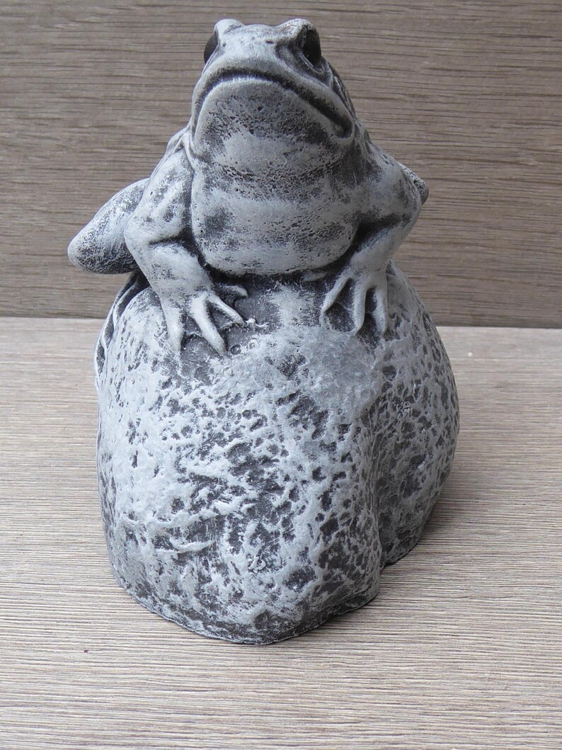 Pu&ograve; includere: Una statuetta di rana grigia dalla superficie ruvida, appollaiata su una roccia grigia coordinata. La rana presenta una pelle dettagliata e irregolare con occhi scuri e prominenti, mentre la base rocciosa ha un aspetto usurato e irregolare.