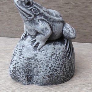 Pu&ograve; includere: Una scultura grigia dall'aspetto lapideo raffigurante una rana appollaiata su una base di roccia arrotondata e testurizzata. La figura della rana presenta segni cutanei dettagliati, un occhio prominente e una bocca definita e screziata.