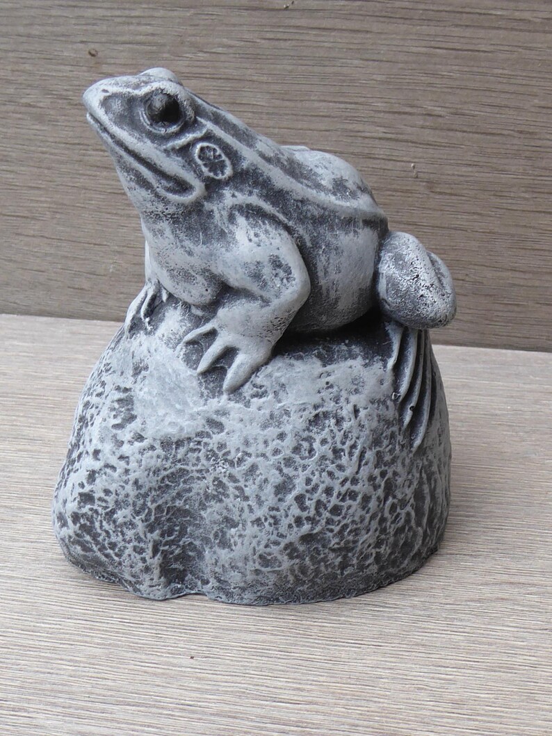 Pu&ograve; includere: Una scultura grigia dall'aspetto lapideo raffigurante una rana appollaiata su una base di roccia arrotondata e testurizzata. La figura della rana presenta segni cutanei dettagliati, un occhio prominente e una bocca definita e screziata.