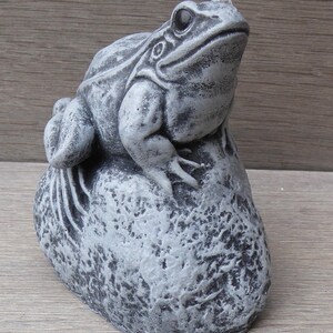 Pu&ograve; includere: Una statuetta di rana grigia e testurizzata appoggiata su una base ruvida simile a una pietra. La rana ha un aspetto dettagliato e usurato con ombre scure nelle fessure, che mettono in risalto i tratti anatomici, gli occhi e gli arti.