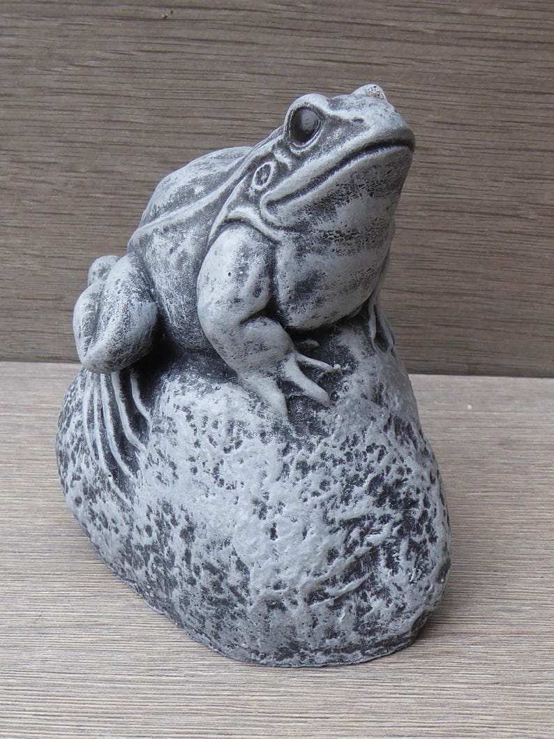 Pu&ograve; includere: Una statuetta di rana grigia e testurizzata appoggiata su una base ruvida simile a una pietra. La rana ha un aspetto dettagliato e usurato con ombre scure nelle fessure, che mettono in risalto i tratti anatomici, gli occhi e gli arti.