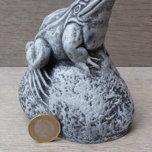 Pu&ograve; includere: Una statuetta di rana effetto pietra grigia appollaiata su una roccia ruvida. La rana presenta dettagliate marcature cutanee e un corpo liscio e arrotondato. Una moneta color oro &egrave; posta alla base della roccia per fornire una scala.