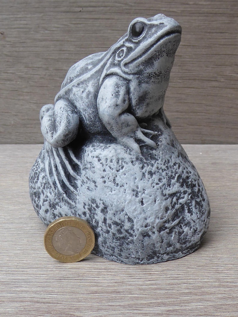 Pu&ograve; includere: Una statuetta di rana effetto pietra grigia appollaiata su una roccia ruvida. La rana presenta dettagliate marcature cutanee e un corpo liscio e arrotondato. Una moneta color oro &egrave; posta alla base della roccia per fornire una scala.