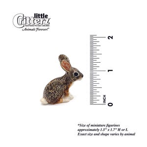 Little Critterz Jackrabbit