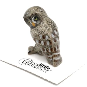 Little Critterz Owl Great Gray Owl Phantom - Handcrafted Home Decor Bird Birthday Gift Decorative Figurine - Miniature Porcelain Figurine