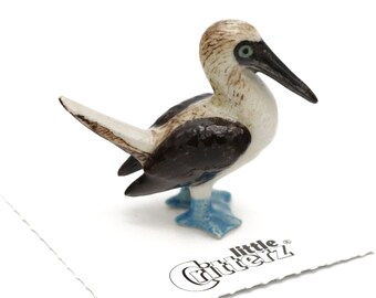 Little Critterz Bird - Blue Footed Booby Matey - Collectible Gift Home Décor Miniature Porcelain Figurine