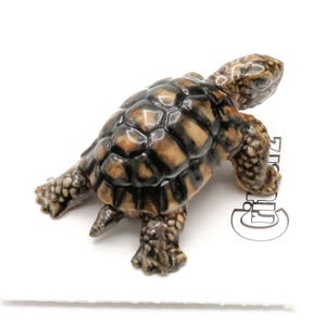Little Critterz Desert Tortoise "Joshua" Reptile - Home Decor Reptile Birthday Gift Decorative Figurine - Miniature Porcelain Figurine