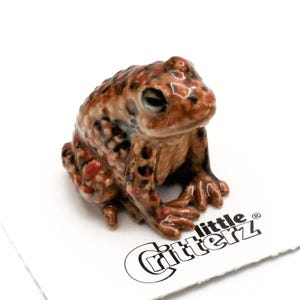 Little Critterz Toad American Toad "Bufo" - Hand-Painted Home Decor Animal Birthday Gift Decorative Figurine - Miniature Porcelain Figurine