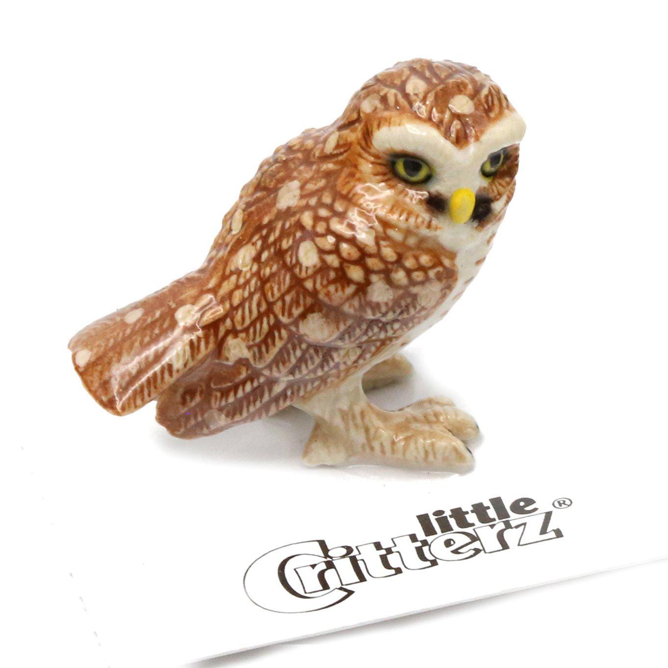 Little Critterz Owl Burrowing "Athene" Bird - Handcrafted Home Decor Bird Decorative Figur