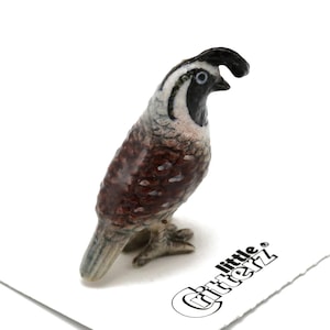 Little Critterz California Quail "Valley" Bird - Home Decor Bird Decorative Figurine Birthday Gift- Miniature Porcelain Figurine