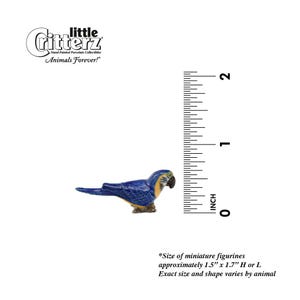 Little Critterz Parrot Blue and Gold Macaw Arara - Home Decor Bird Birthday Gift Decorative Figurine - Miniature Porcelain Figurine Bild 2