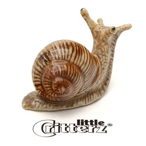 Little Critterz Brown Snail - Garden Snail &quot;Helix&quot; helix-shaped shells Decorative Figurine - Miniature Porcelain Figurine