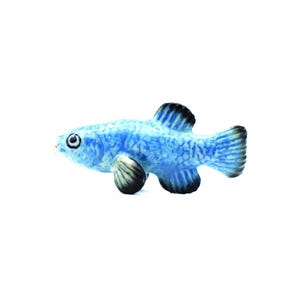 Little Critterz Blue Devils Hole Pupfish - Home Decor Animal Decorative Figurine - Miniature Porcelain Figurine