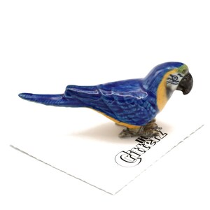 Little Critterz Parrot Blue and Gold Macaw Arara - Home Decor Bird Birthday Gift Decorative Figurine - Miniature Porcelain Figurine Bild 1