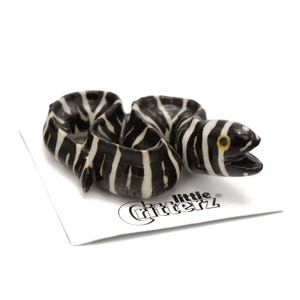 Little Critterz Fish Zebra Moray Eel &quot;Retreat&quot; - Home Decor Reptile Birthday Gift Decorative Figurine - Miniature Porcelain Figurine