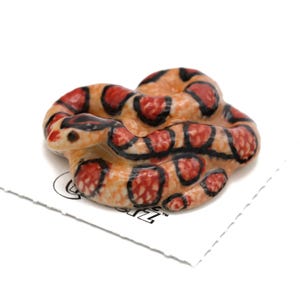 Little Critterz Corn Snake "Checkers" - Handcrafted Home Decor Reptail Collectible Figurine Birthday Gift - Miniature Porcelain Figurine