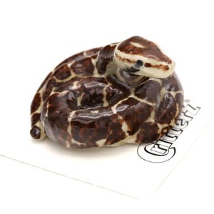 Little Critterz Burmese Python India Snake - Home Decor Reptail Collectible Figurine Birthday Gift - Miniature Porcelain Figurine