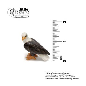 Little Critterz Bald Eagle "Freedom" Bird - Handcrafted Home Decor Bird Birthday Gift Decorative Figurine - Miniature Porcelain Figurine image 2