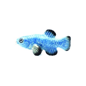 Little Critterz Blue Devils Hole Pupfish Fish - Home Decor Animal Birthday Gift Decorative Figurine - Miniature Porcelain Figurine