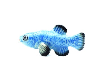 Little Critterz Blue Devils Hole Pupfish Fish - Home Decor Animal Birthday Gift Decorative Figurine - Miniature Porcelain Figurine