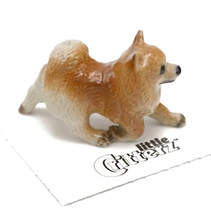 Little Critterz Dog Pomeranian &quot;Marco&quot; Animal - Hand-painted Home Decor Animal Decorative Figurine - Miniature Porcelain Figurine
