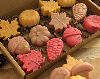 Autumn Wax Melt Box - Selection Box Autumnal Fragrances - The Snuggle Season Box - Cosy Autumn Wax Melts Box - Autumn Home Decor
