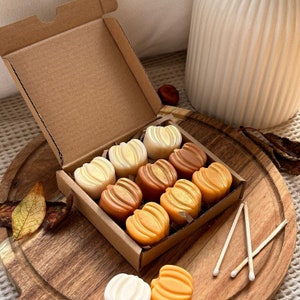 Pumpkin wax melts. Pumpkin spice autumn wax melts. Autumn home decor. Autumn scent wax melts