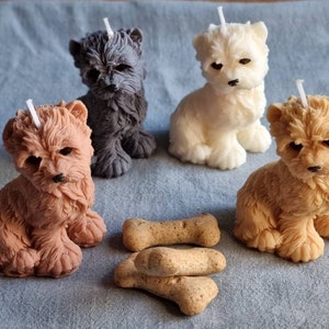 Candle. Dog Candle. Candles. Candle uk. Puppy Candle.