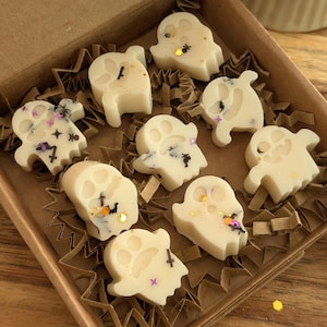 Ghosts Wachsschmelze Auswahlbox. Halloween Wachs schmilzt. Geist geformte Wachs schmilzt. Gruselige Duft Wachs Schmelzen