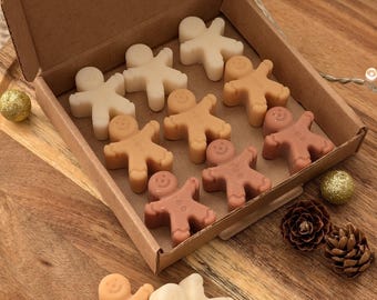 Gingerbread wax melts. Christmas. Wax melt selection box. Christmas wax melts. Christmas home decor. Cute wax melts