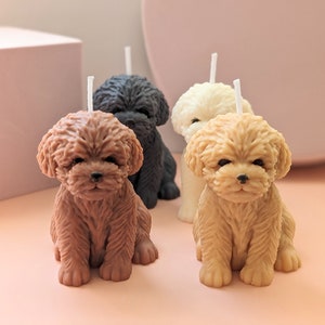 Puede incluir: Cuatro pequeñas velas con forma de caniche en marrón, negro, blanco y crema. Las velas están sobre una superficie rosa.