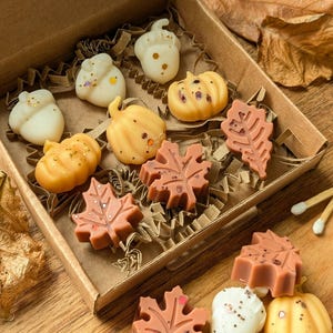 Autumn wax melt selection box. The autumn box wax melts. Pumpkin wax melts. Autumn home decor. Autumn scent wax melts