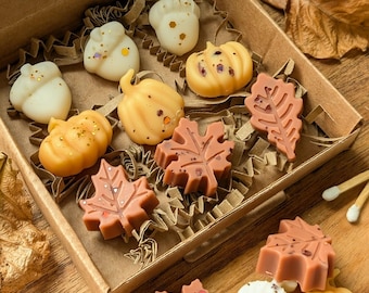 Autumn wax melt selection box. The autumn box wax melts. Pumpkin wax melts. Autumn home decor. Autumn scent wax melts
