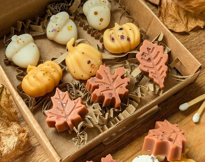 Autumn wax melt selection box. The autumn box wax melts. Pumpkin wax melts. Autumn home decor. Autumn scent wax melts