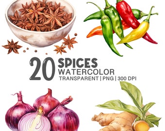 Kitchen Spices Watercolor Bundle | Transparent PNG | Onion | Garlic | Cinnamon | Ginger | Pepper | Commercial Use