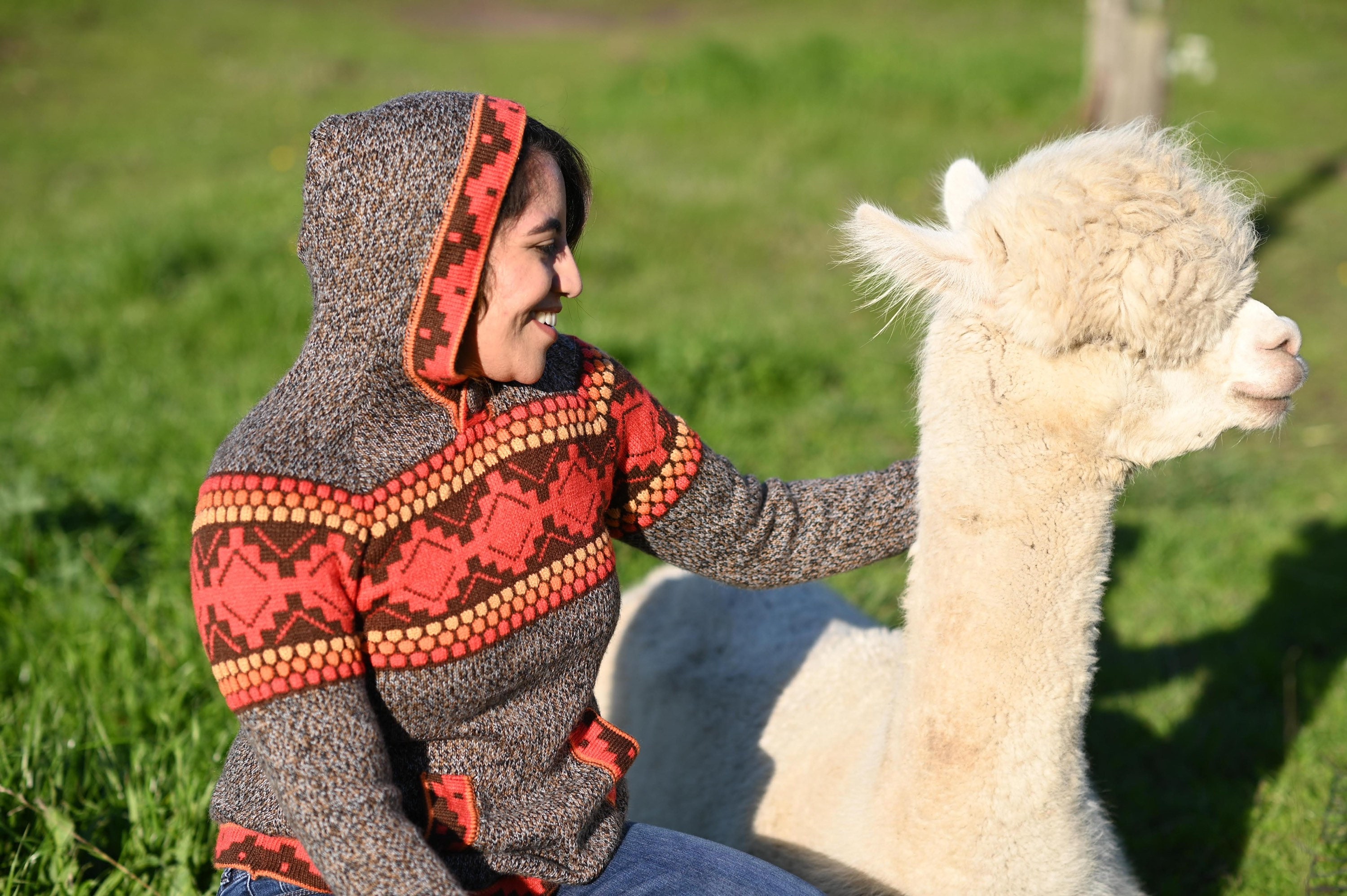 Knorrig Geneigd zijn vergeetachtig Alpaca Clothing - Etsy