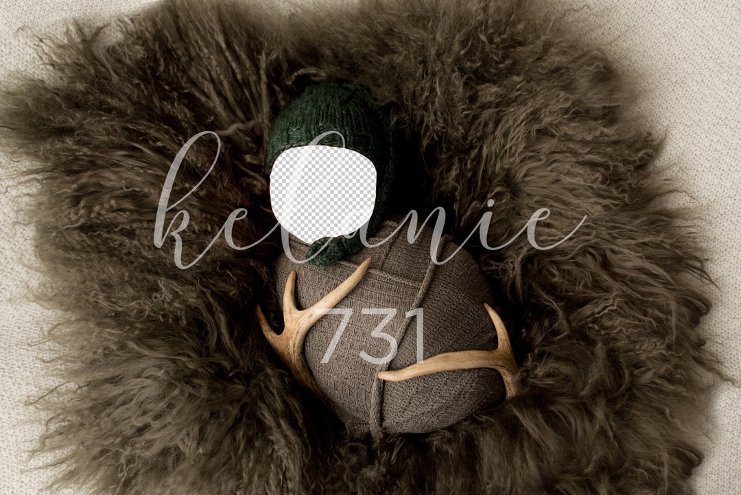 Newborn Digital Backdrop Buck Deer Fawn Face Hole Unique Background ...