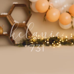 Beehive, bumblebee, bees, hive, Backdrop, Smash Cake Digital Backdrop, Birthday Digital Backdrop, Newborn, Sitter 1st Birthday