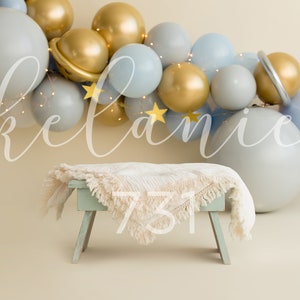 Balloon Banner and Balloon Digital Backdrop, Smash Cake Digital Backdrop, Birthday Digital Backdrop, Newborn, Sitter 1st Birthday