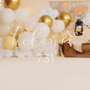 Sky, Fly, Gold, Backdrop, Smash Cake Digital Backdrop, Birthday Digital Backdrop, Newborn, Sitter 1st